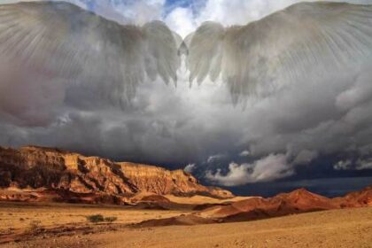 how to live in the shadow of God's wings